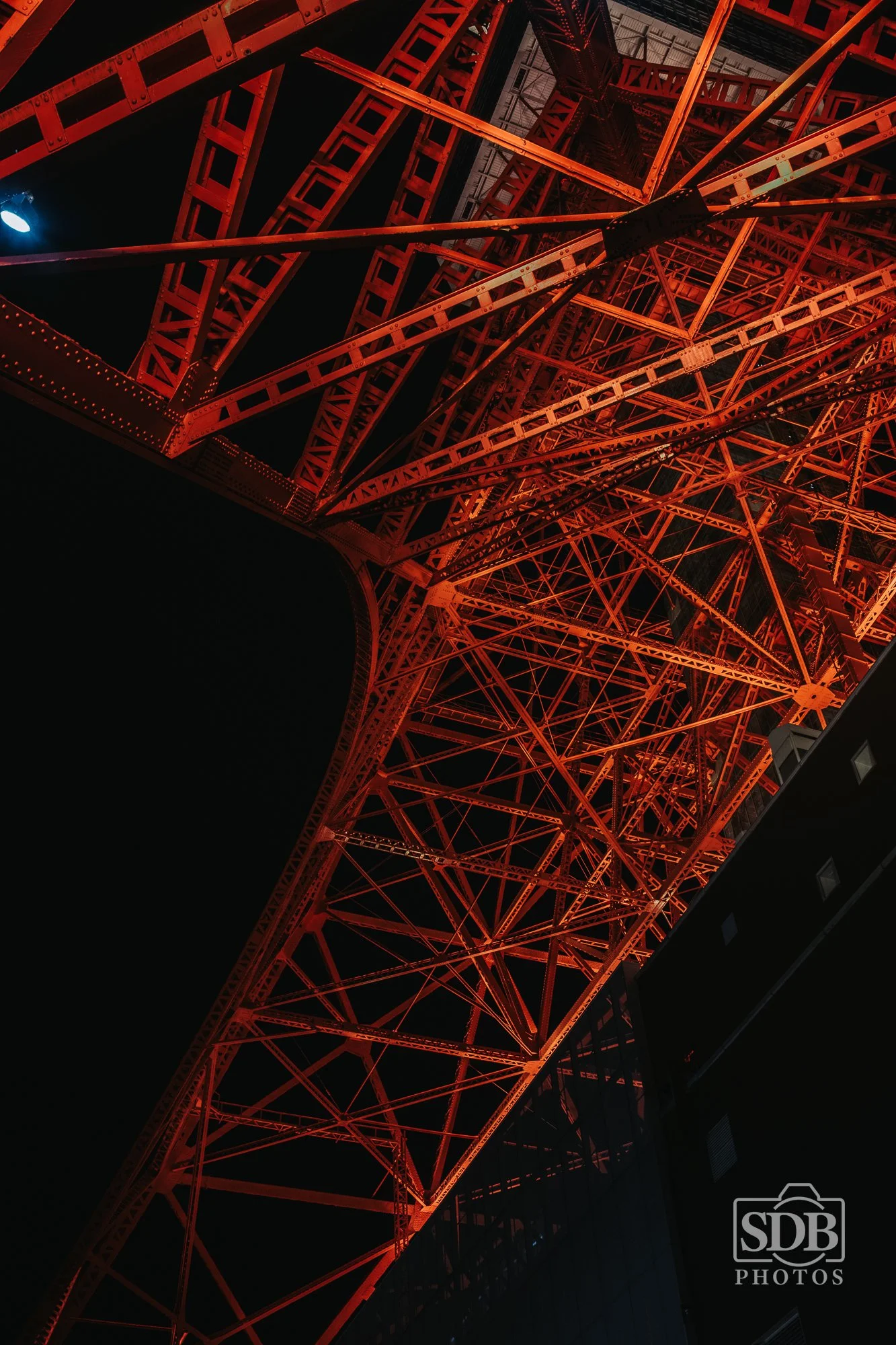 Tokyo Tower-251113-SDBPhotoz-4.jpg