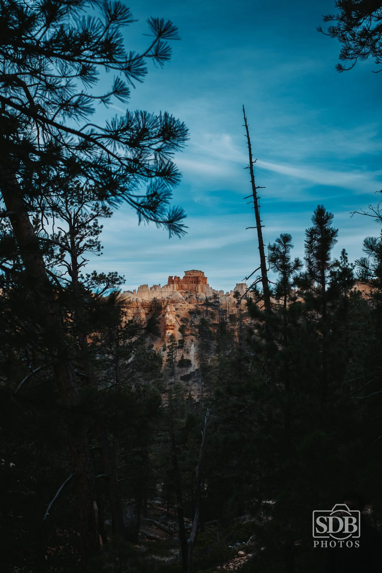 Bryce Canyon National Park-251222-SDBPhotoz-3.jpg