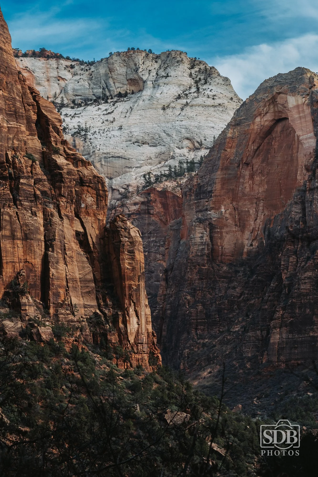 Zion National Park-251221-SDBPhotoz-2.jpg