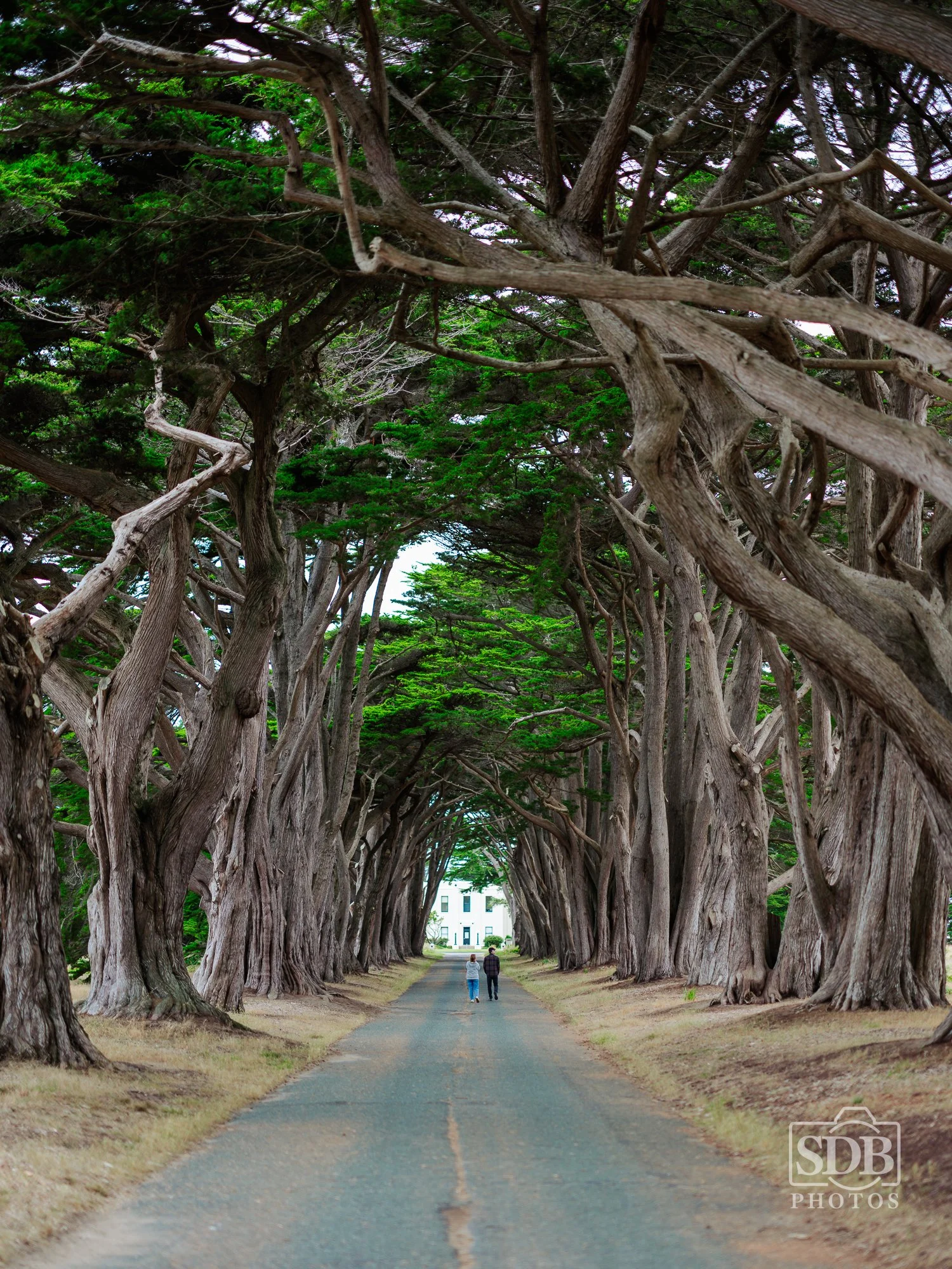 Point Reyes 26 07 07 sdbphotos web-7.jpg
