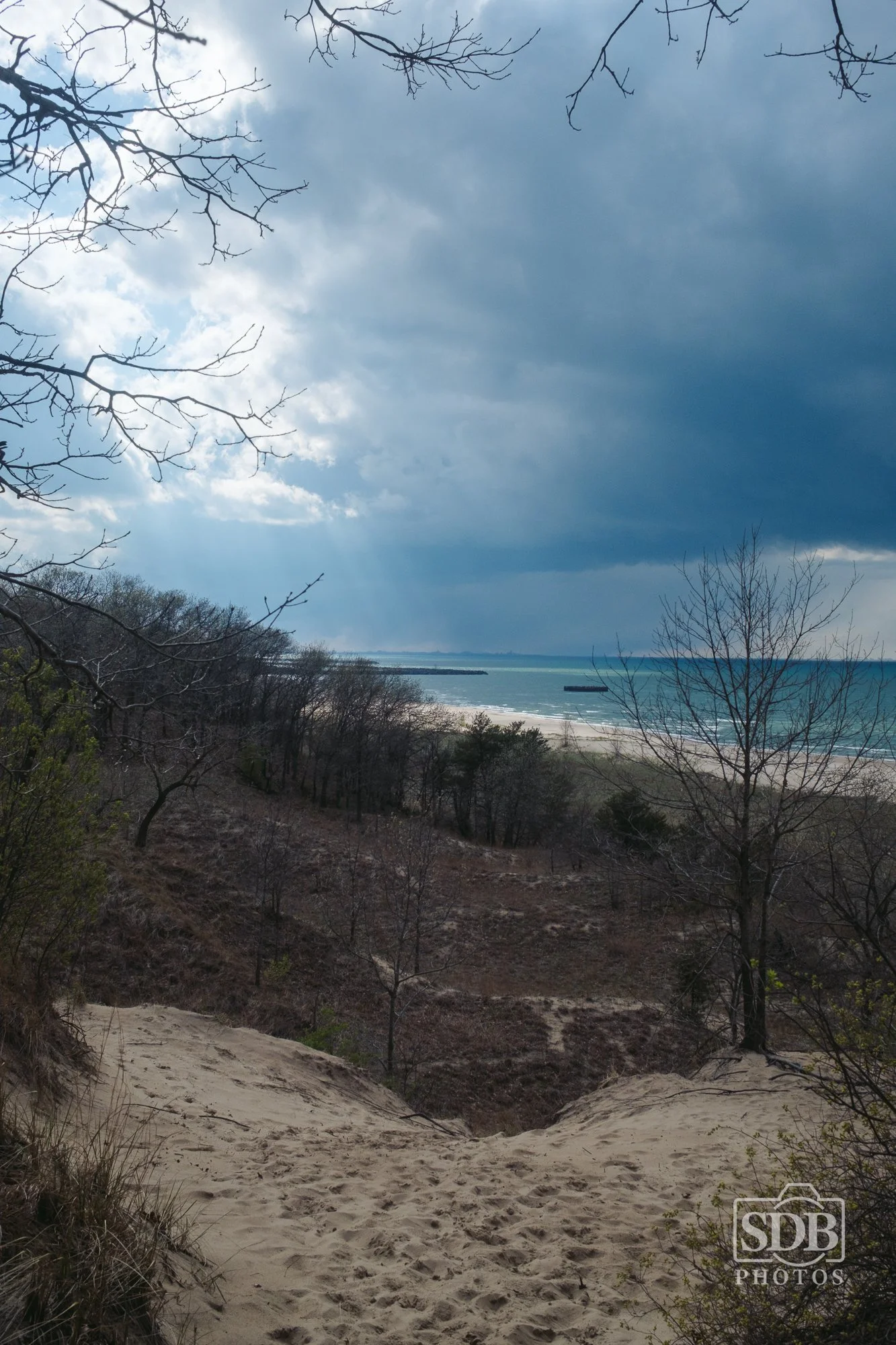 Indiana Dunes National Park-260419-SDBPhotoz-10.jpg
