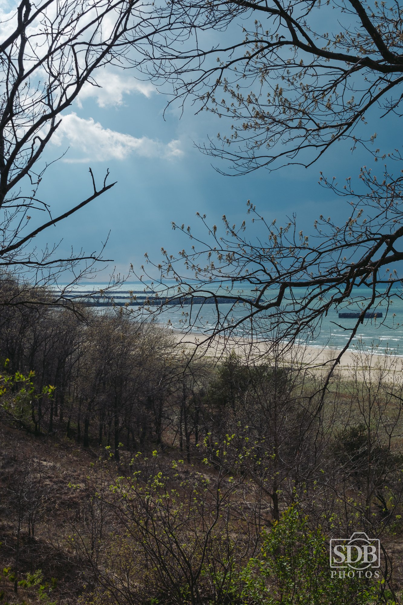 Indiana Dunes National Park-260419-SDBPhotoz-7.jpg