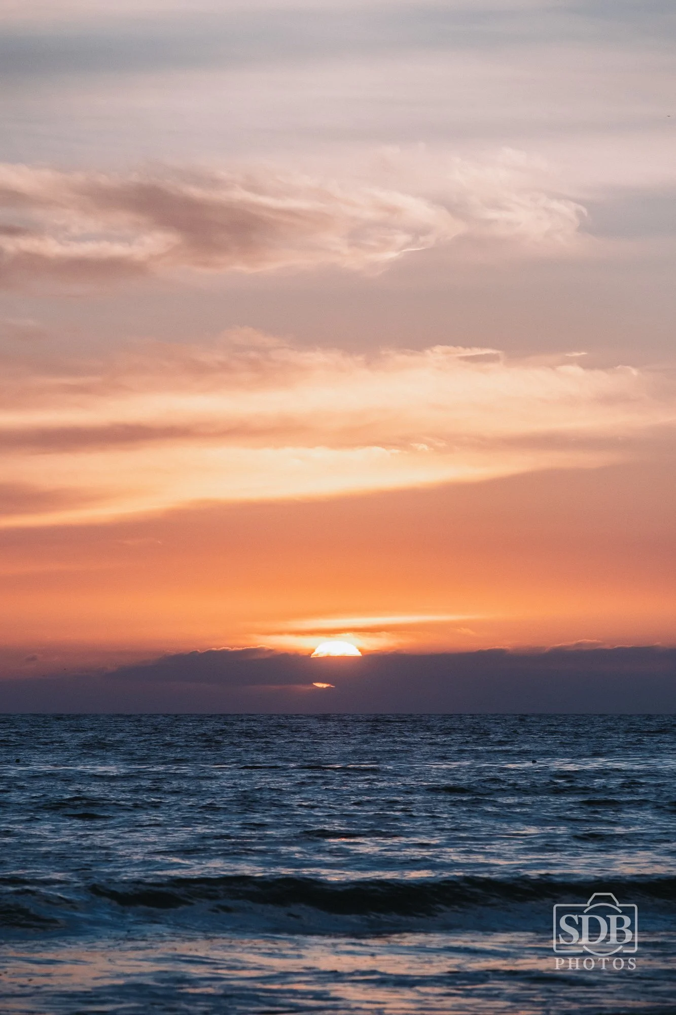 Beach Photos-251025-SDBPhotoz-5.jpg