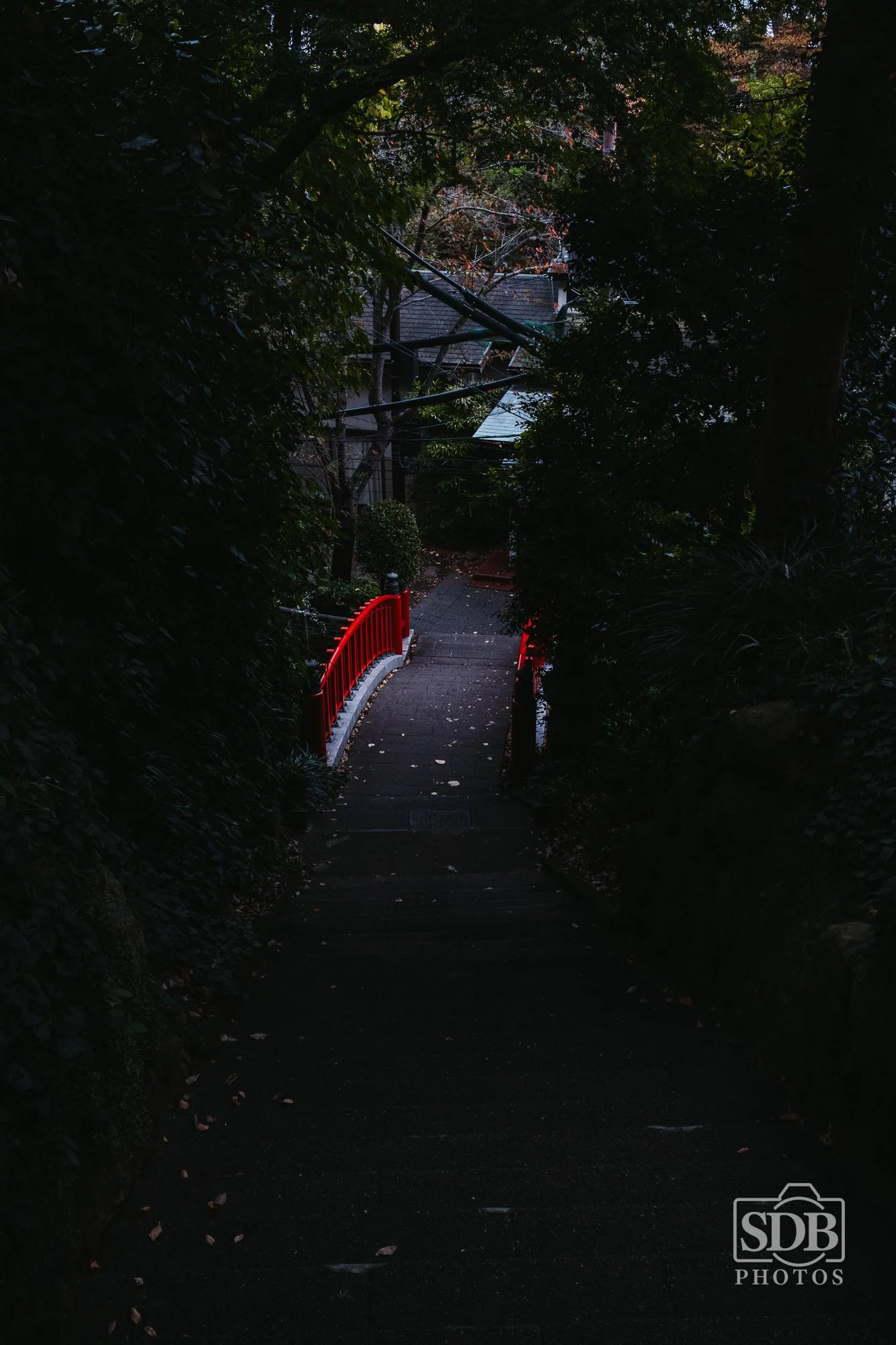 Enoshima Japan-251111-SDBPhotoz-1.jpg