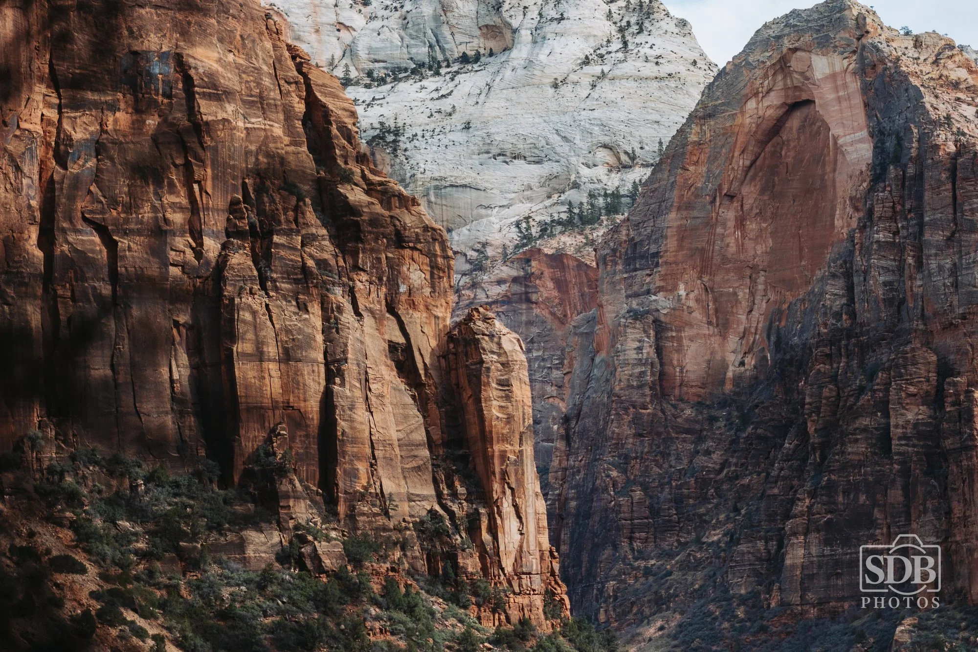 Zion National Park 12/21/25