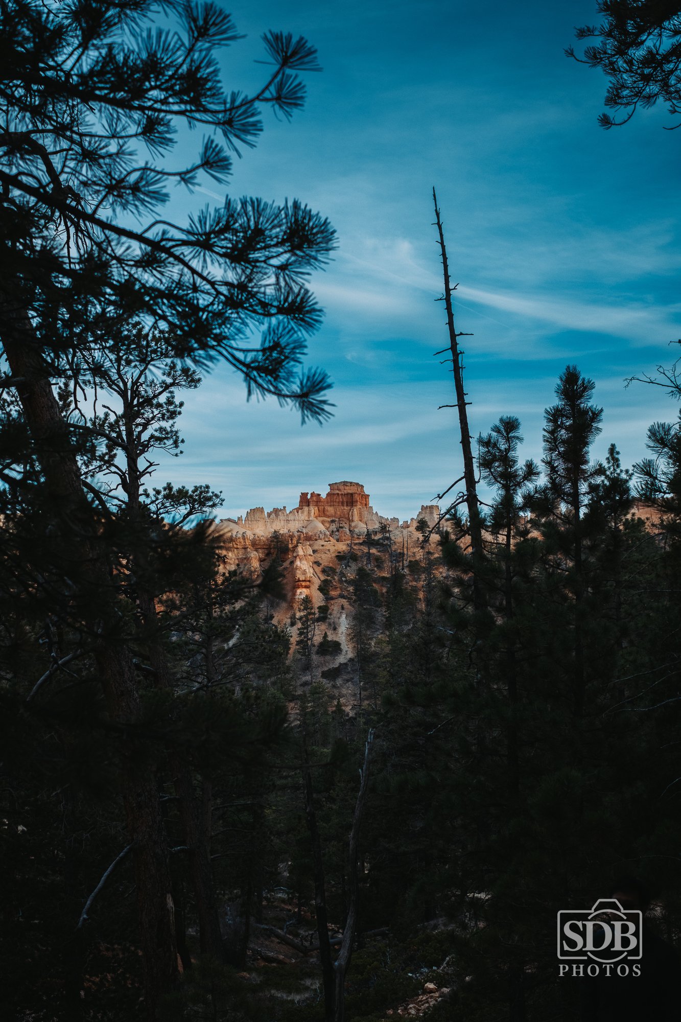 Bryce Canyon National Park-251222-SDBPhotoz-3.jpg