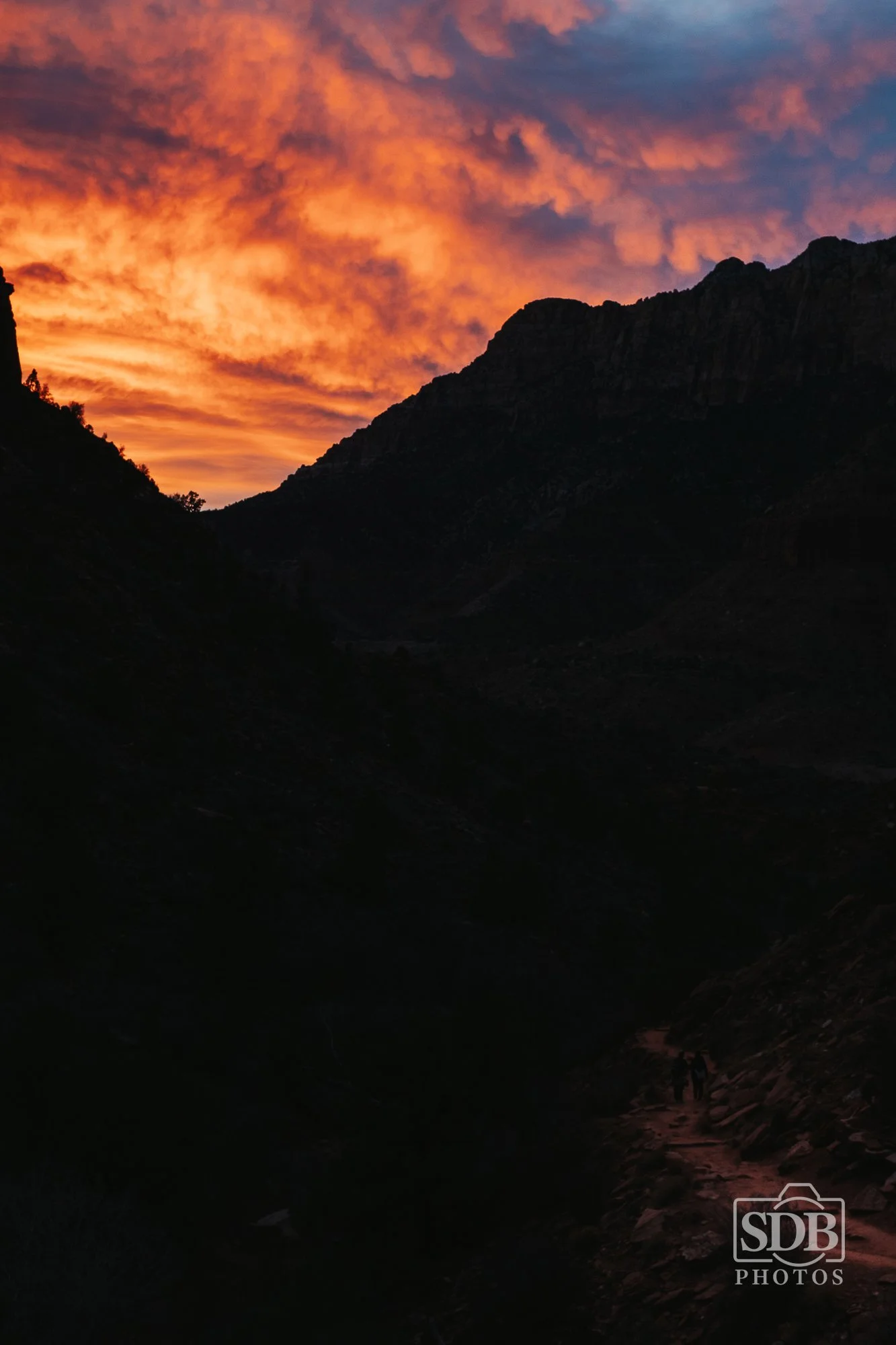 Zion National Park-251221-SDBPhotoz-9.jpg