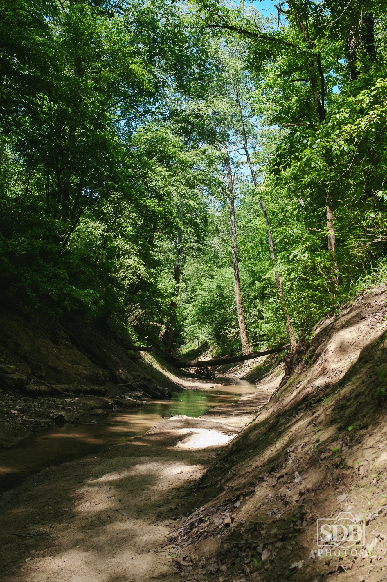 Mammoth Cave National Park-260421-SDBPhotoz-7.jpg