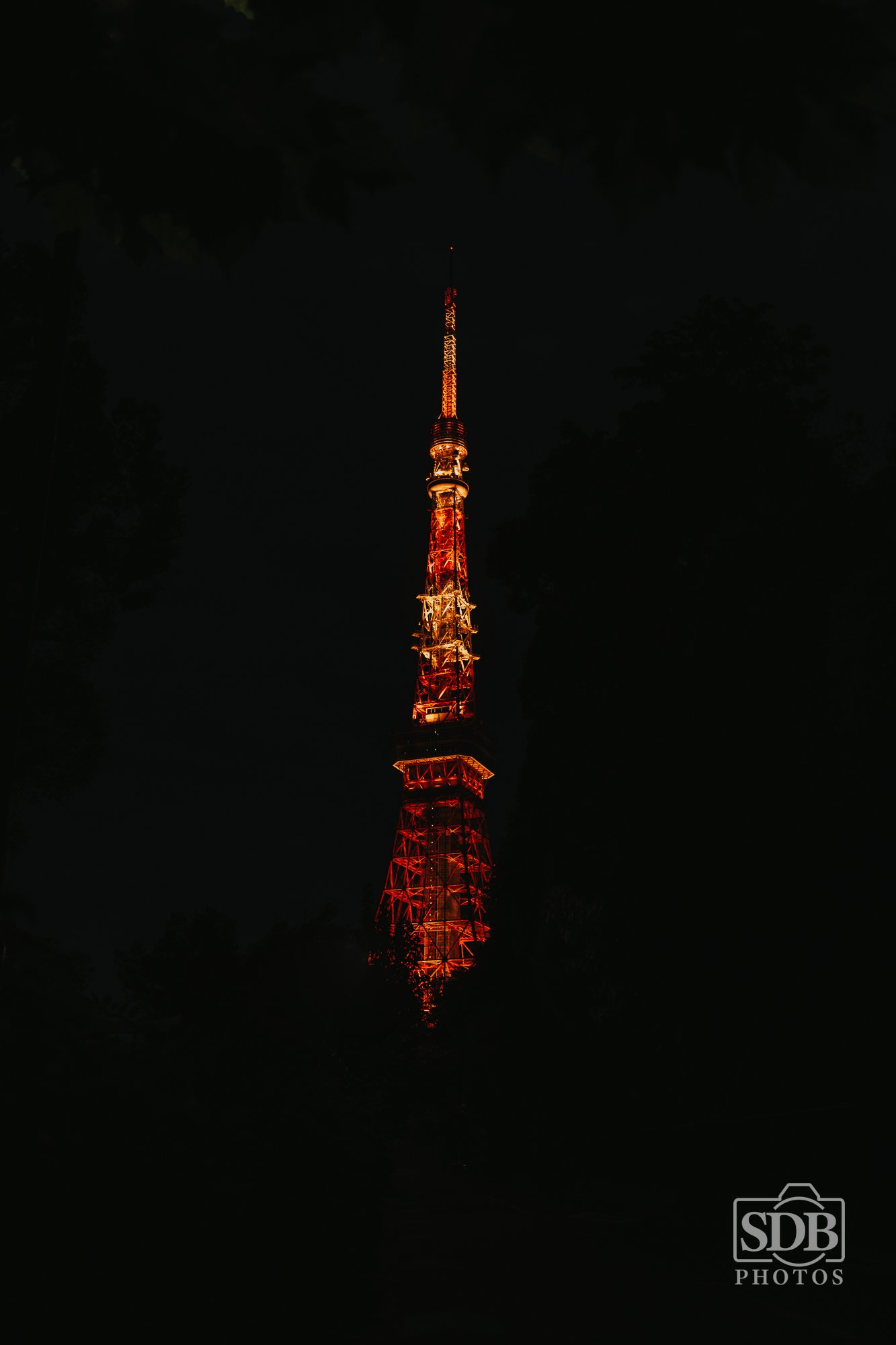 Tokyo Tower-251113-SDBPhotoz-1.jpg