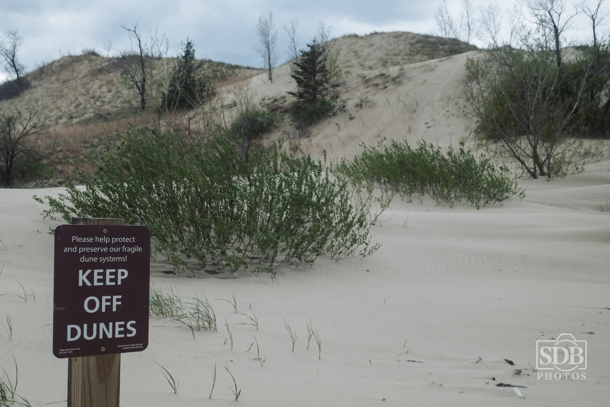 Indiana Dunes National Park-260419-SDBPhotoz-2.jpg
