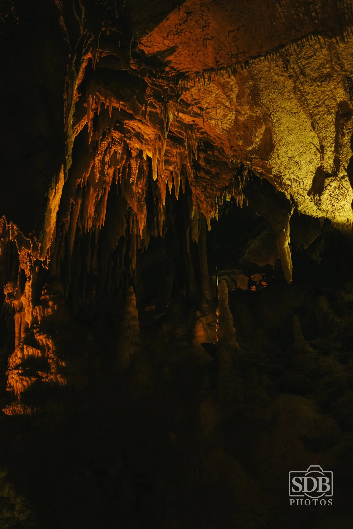 Mammoth Cave National Park-260421-SDBPhotoz-9.jpg