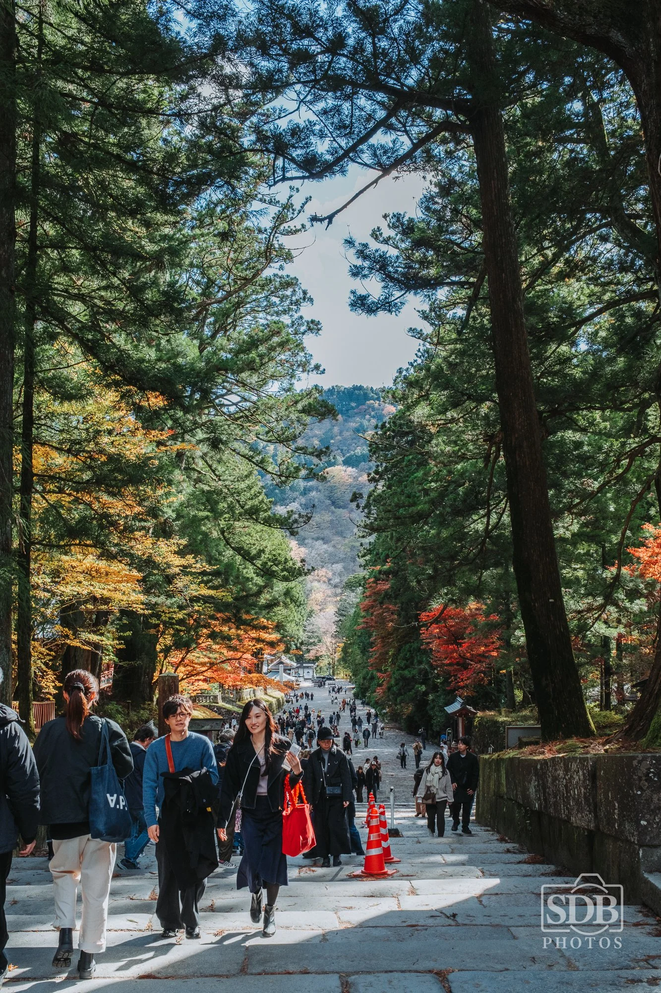 Nikko Japan-251110-SDBPhotoz-3.jpg