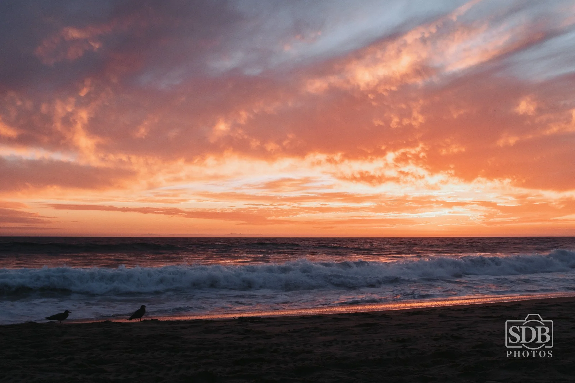 Beach Photos-250901-SDBPhotoz-3.jpg