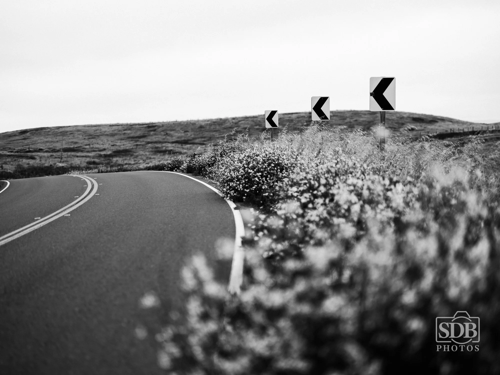 Point Reyes 26 07 07 sdbphotos web-15.jpg