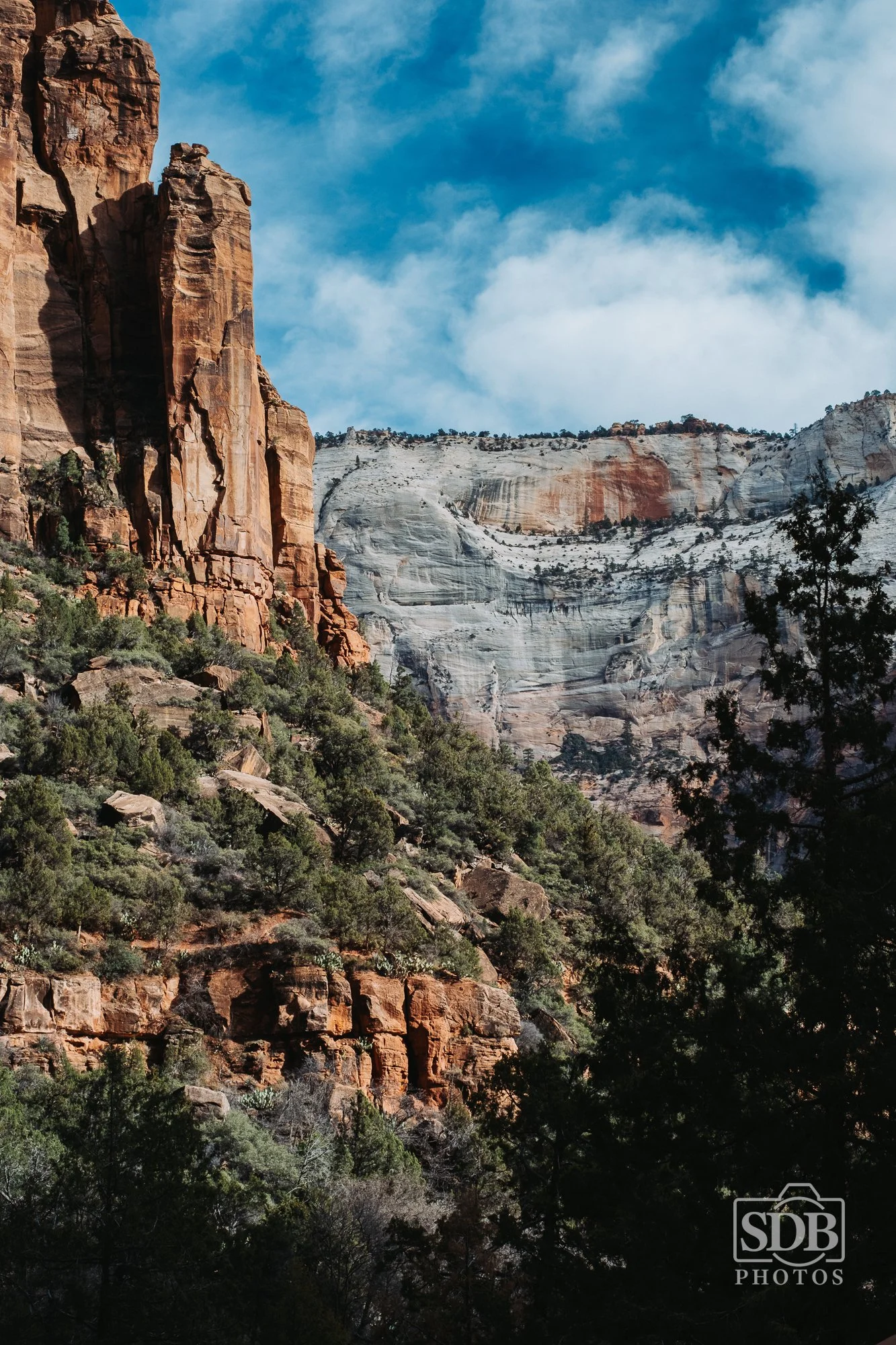 Zion National Park-251221-SDBPhotoz-1.jpg