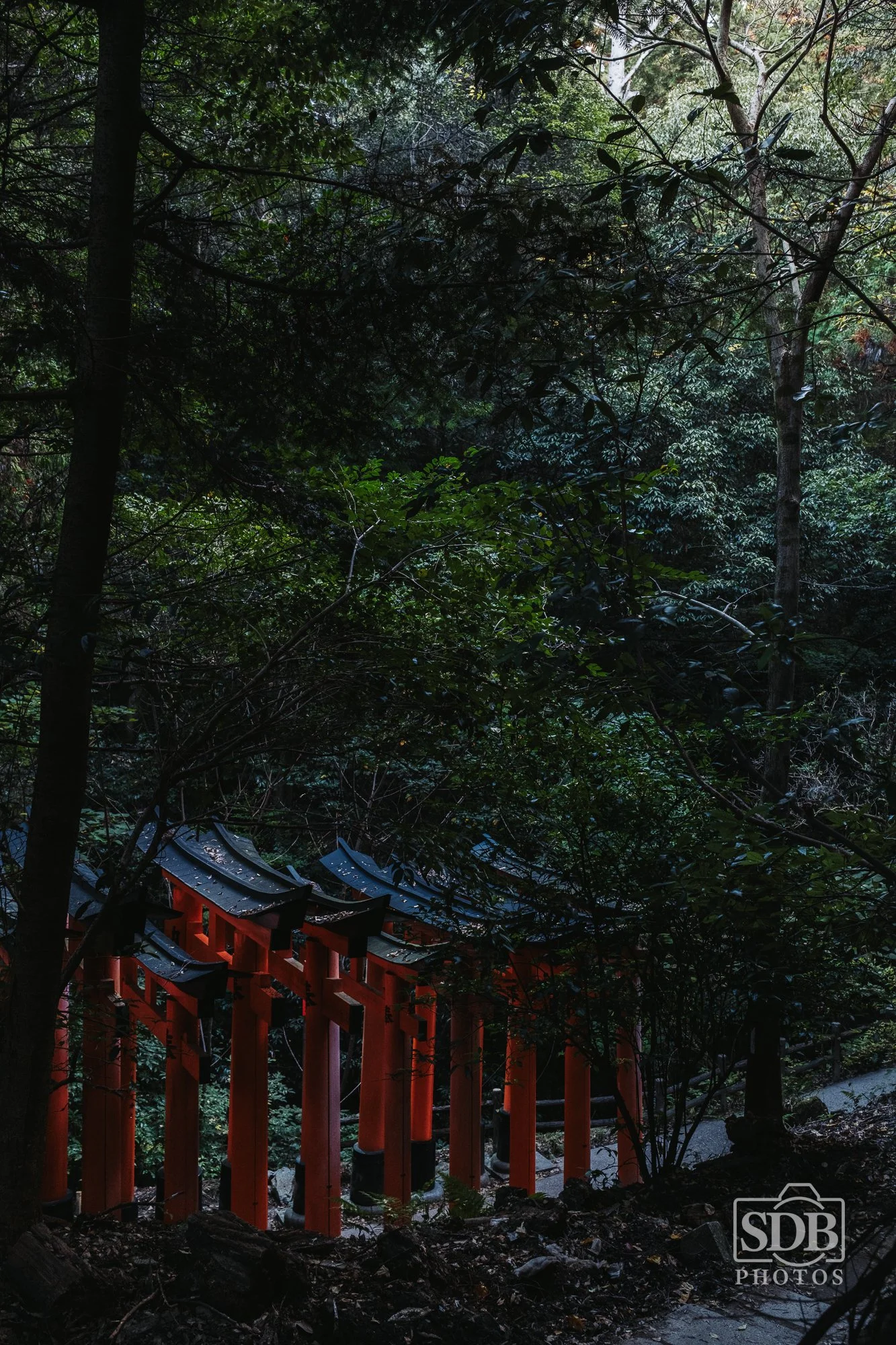 Kyoto-251116-SDBPhotoz-3.jpg