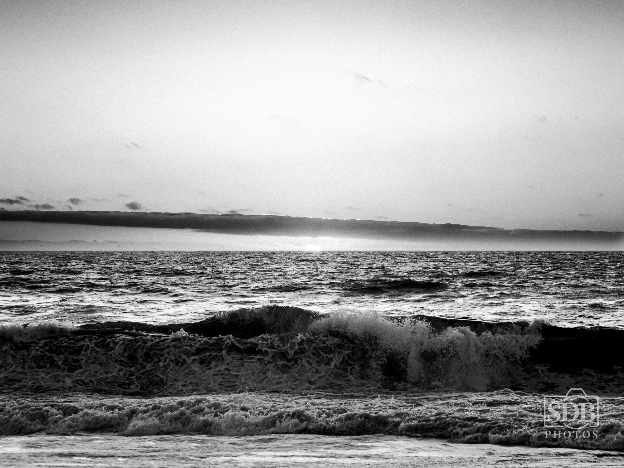 Point Reyes 26 09 05 sdbphotos web-75.jpg
