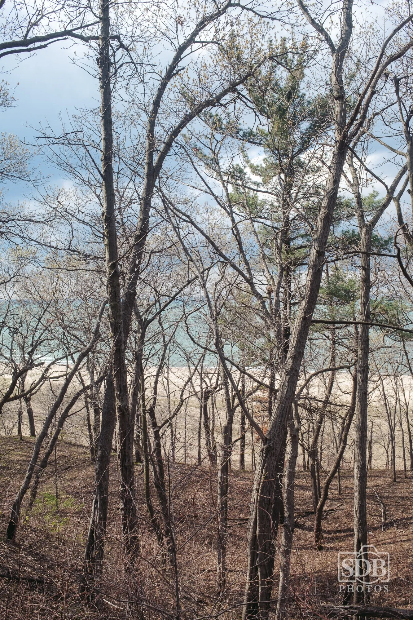 Indiana Dunes National Park-260419-SDBPhotoz-9.jpg