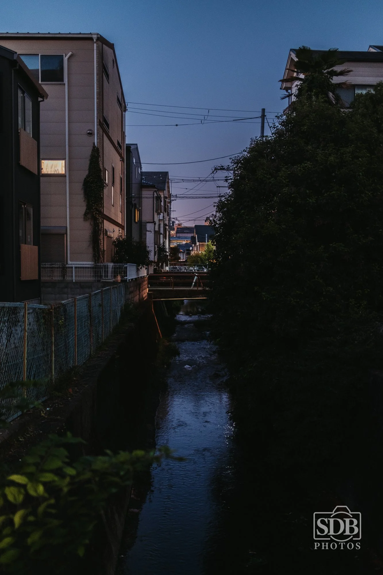 Kyoto-251114-SDBPhotoz-6.jpg