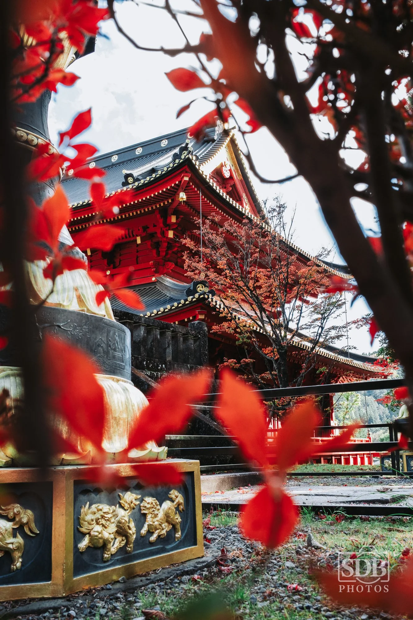 Nikko Japan-251110-SDBPhotoz-7.jpg