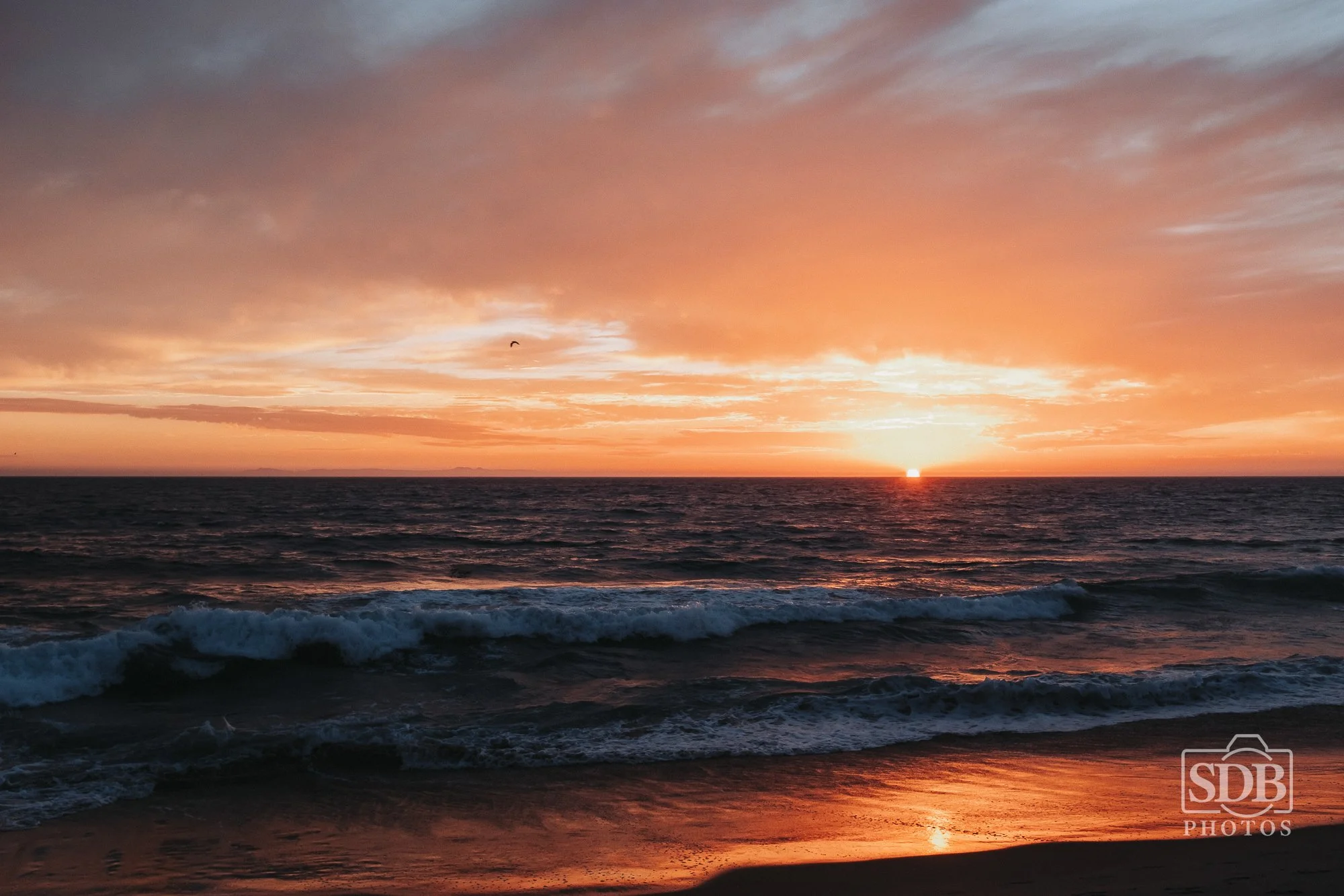 Beach Photos 09/01/25