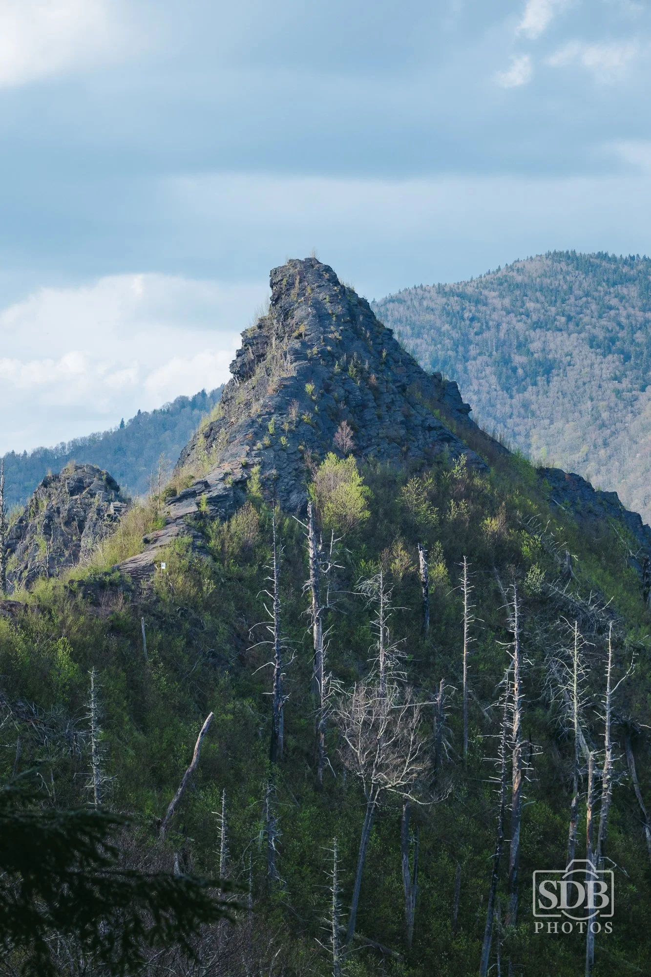 Great Smoky Mountains National Park-260423-SDBPhotoz-13.jpg
