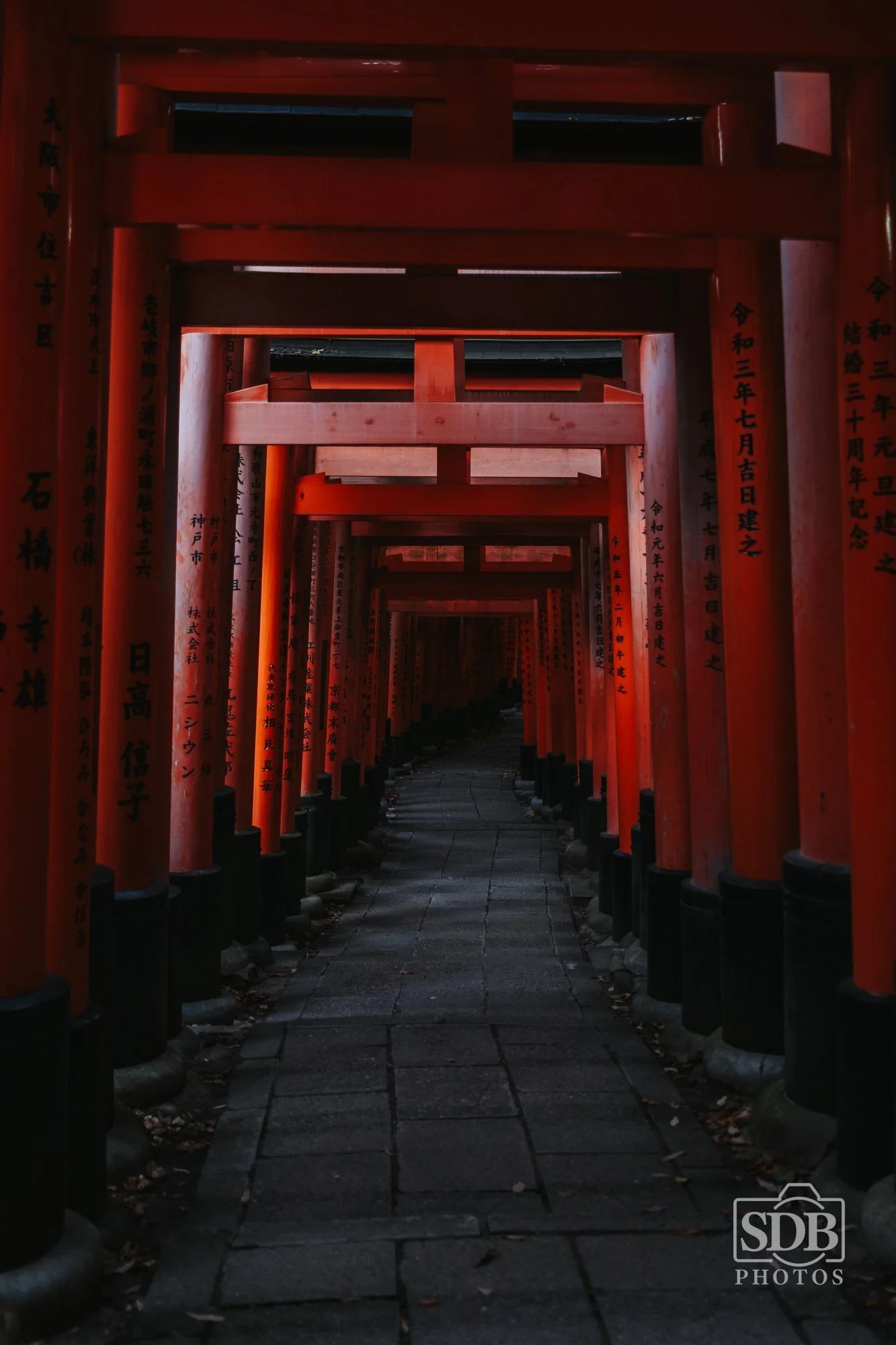 Kyoto-251116-SDBPhotoz-4.jpg