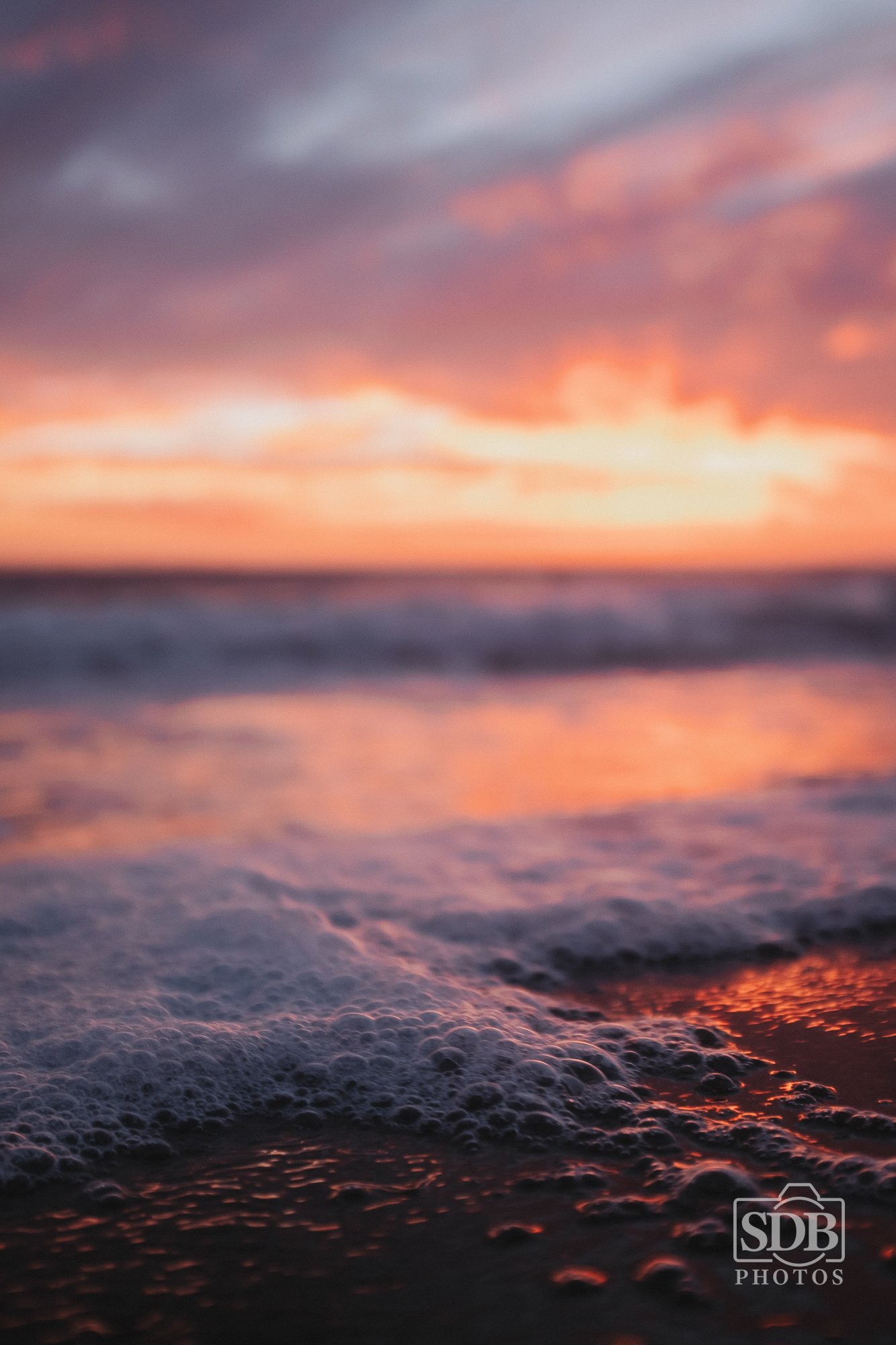 Beach Photos-250901-SDBPhotoz-6.jpg