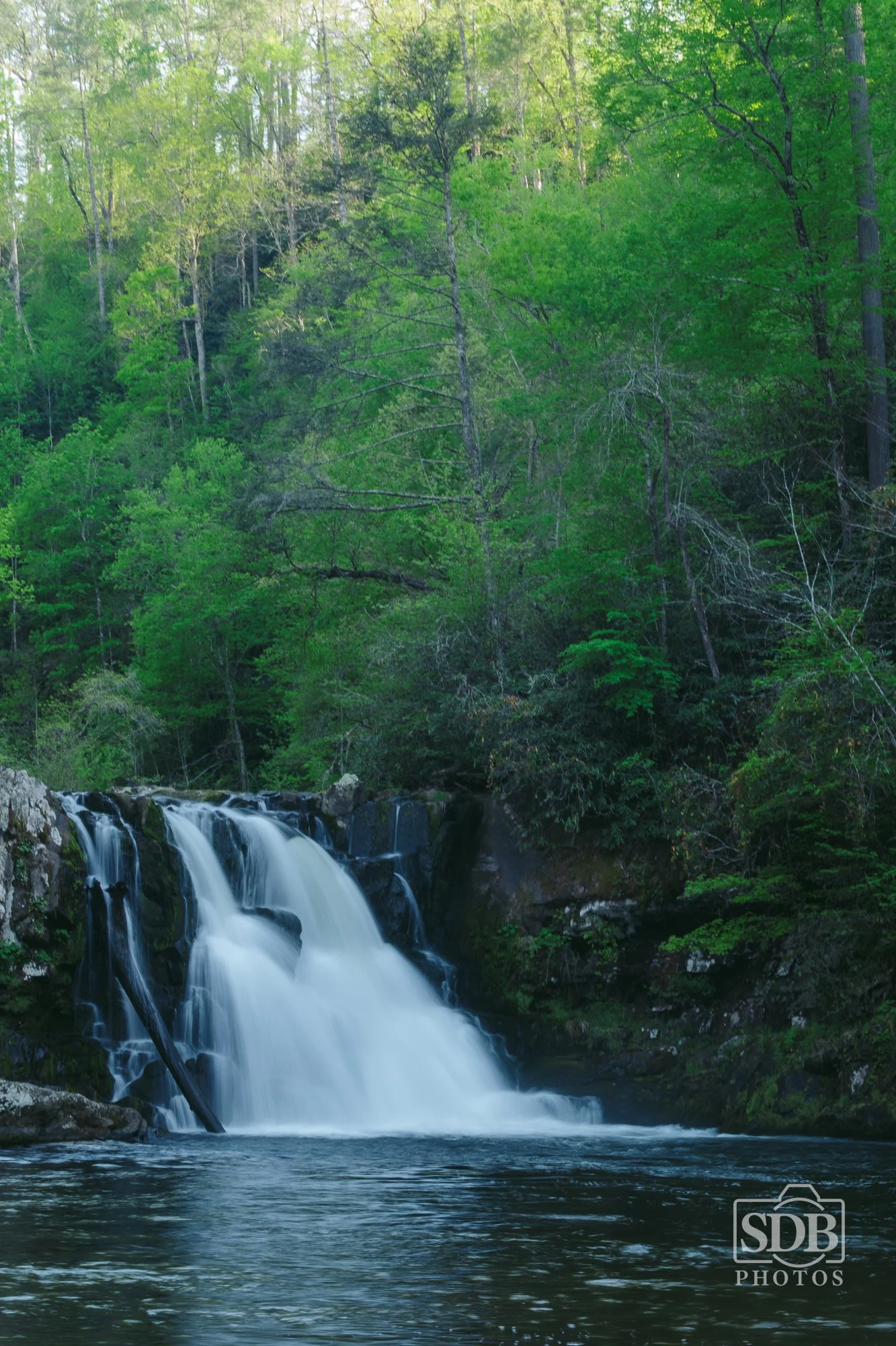 Great Smoky Mountains National Park-260423-SDBPhotoz-6.jpg