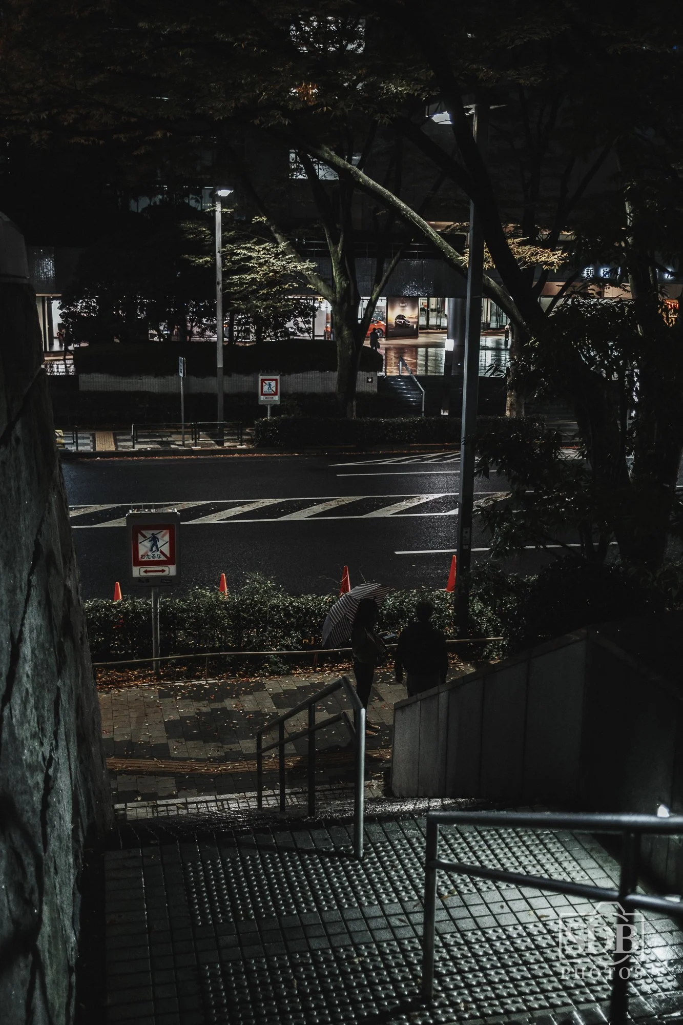 Tokyo-251109-SDBPhotoz-6.jpg