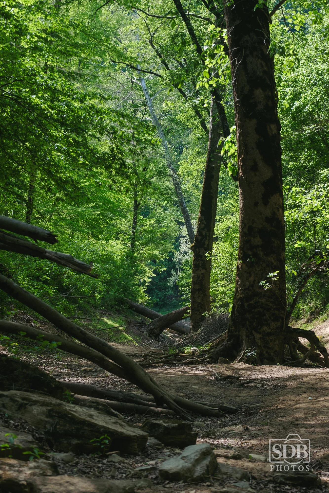 Mammoth Cave National Park-260421-SDBPhotoz-6.jpg