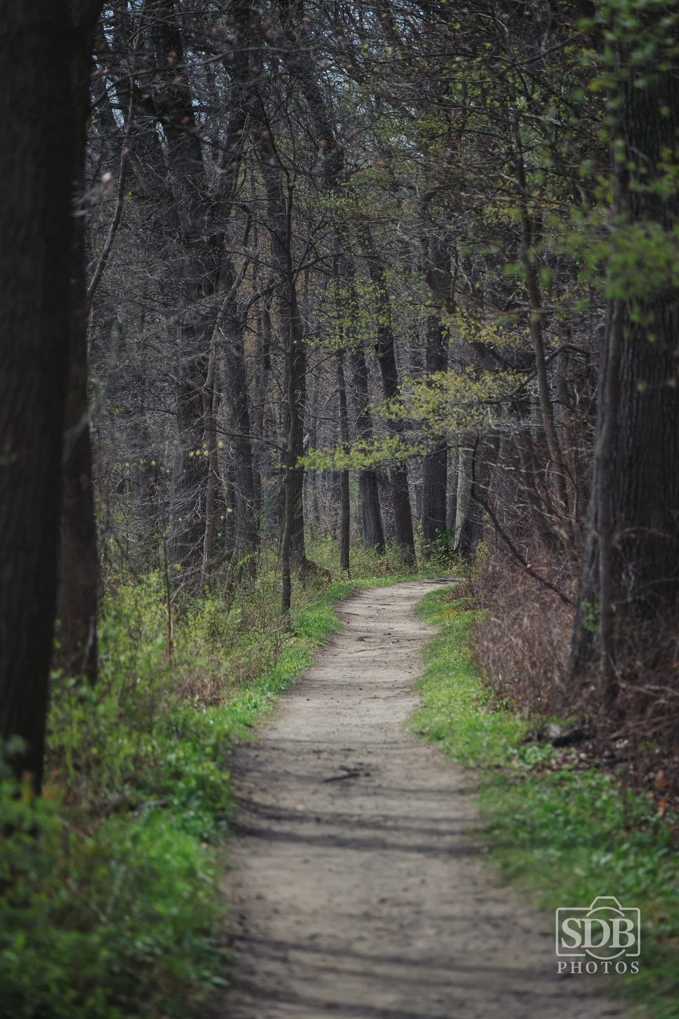 Indiana Dunes National Park-260419-SDBPhotoz-3.jpg