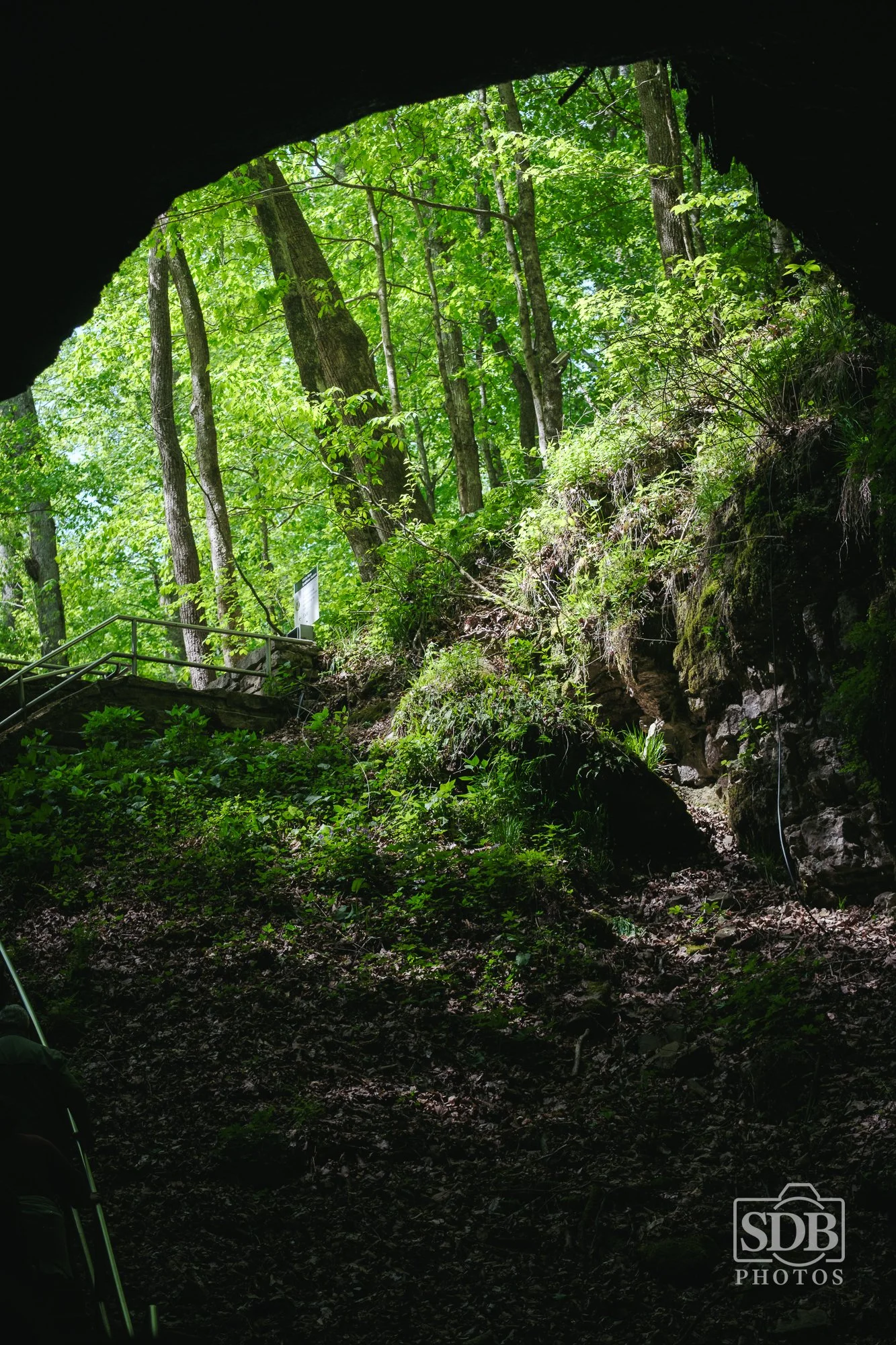 Mammoth Cave National Park 04/21/26 - 04/22/26