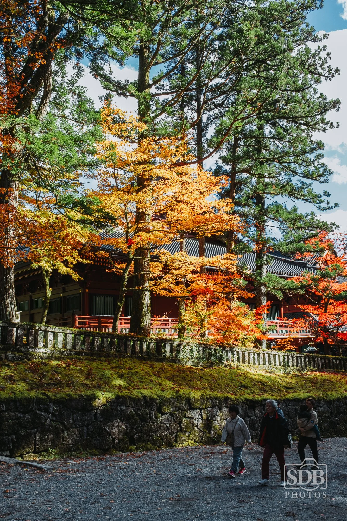 Nikko Japan-251110-SDBPhotoz-4.jpg