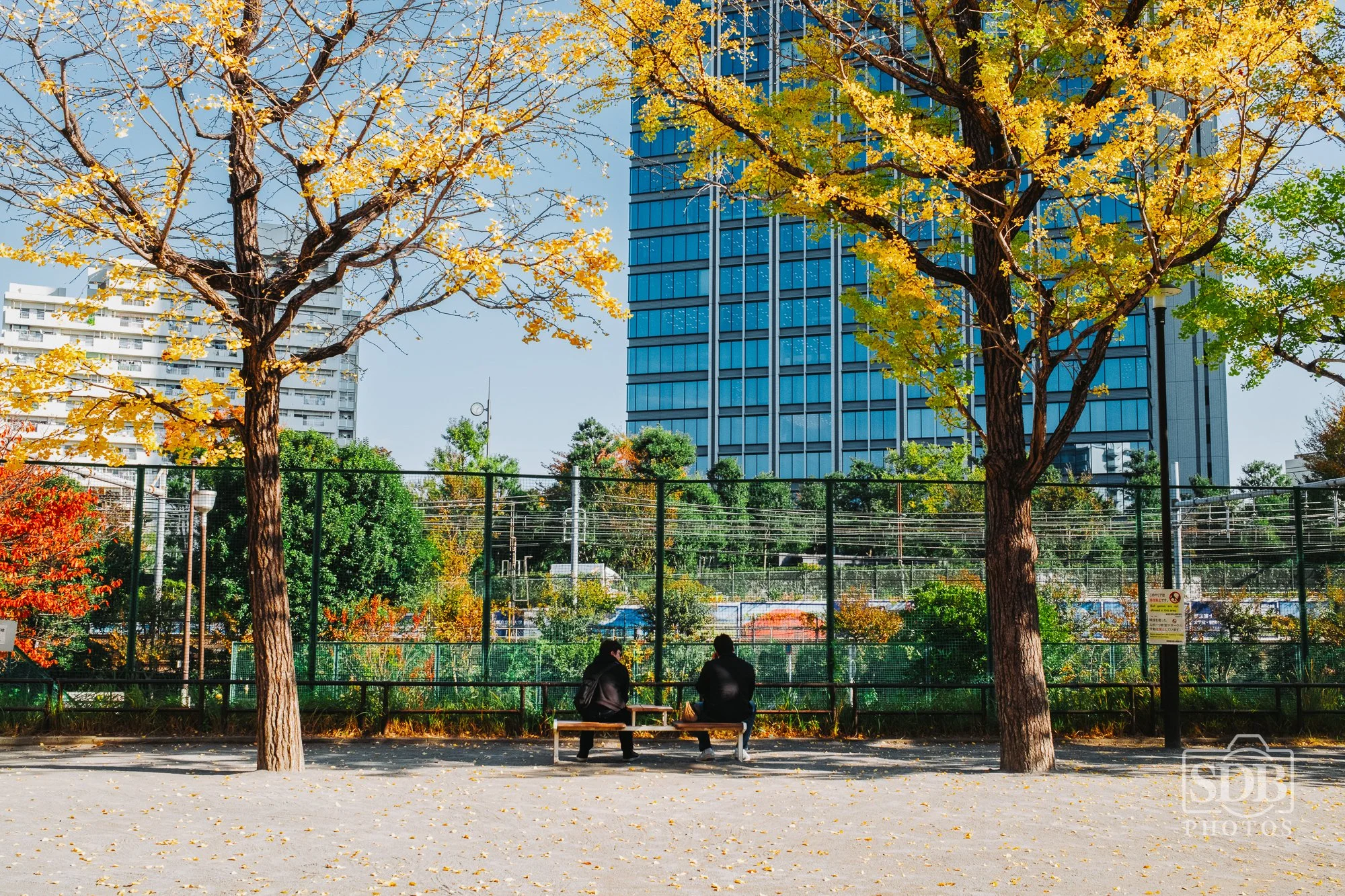 Kyoto-251114-SDBPhotoz-1.jpg