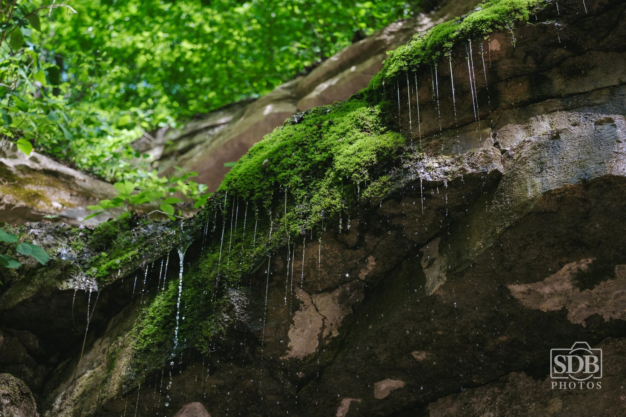 Mammoth Cave National Park-260421-SDBPhotoz-5.jpg