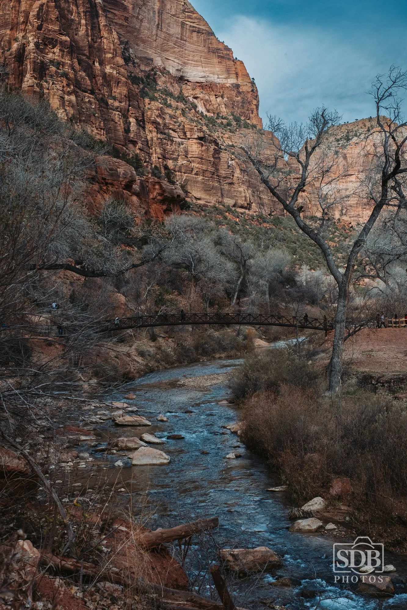 Zion National Park-251221-SDBPhotoz-5.jpg