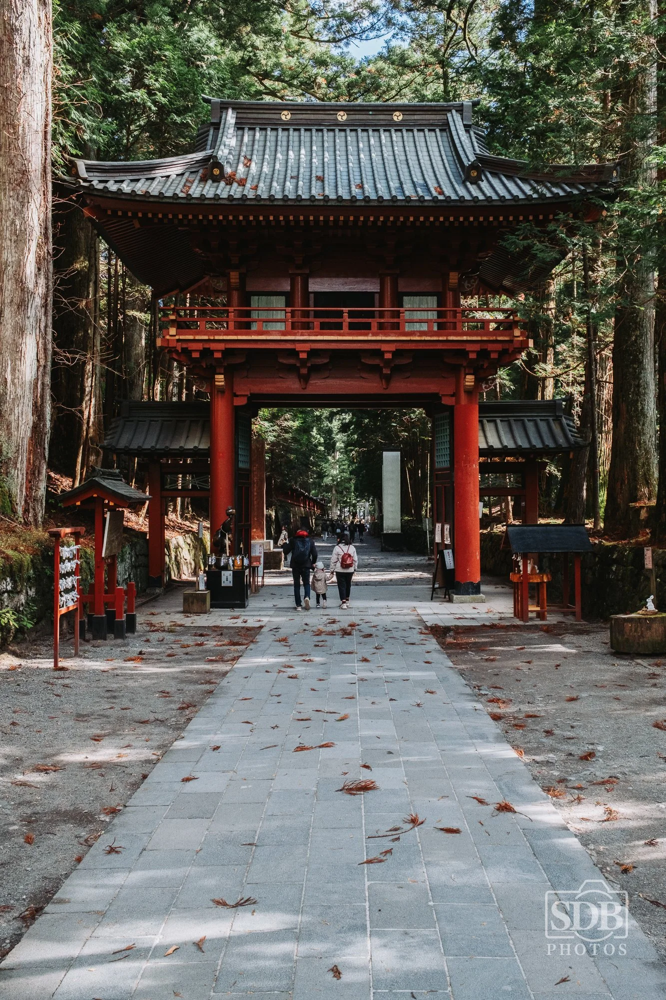 Nikko Japan-251110-SDBPhotoz-2.jpg