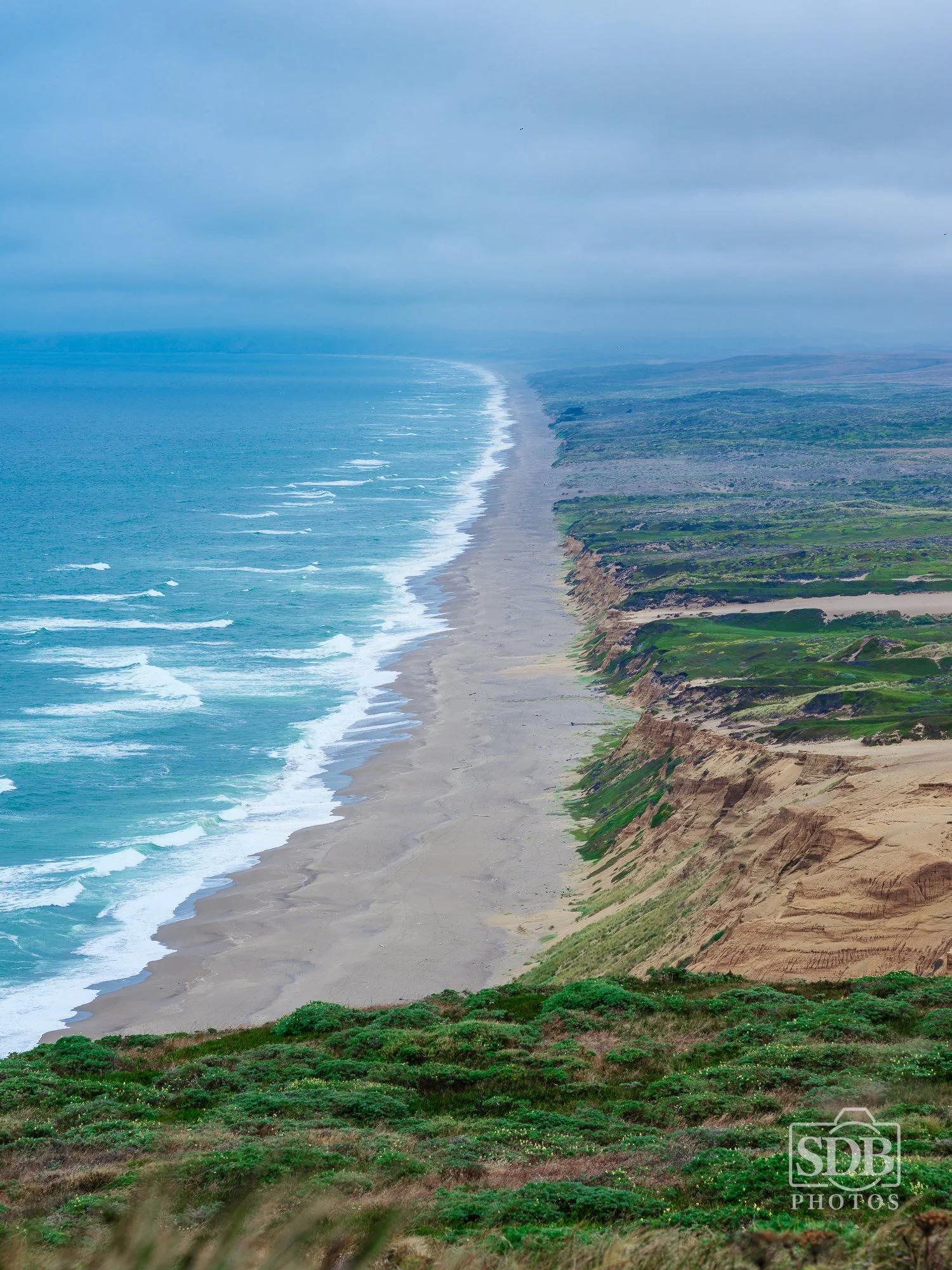 Point Reyes 26 07 07 sdbphotos web-10.jpg