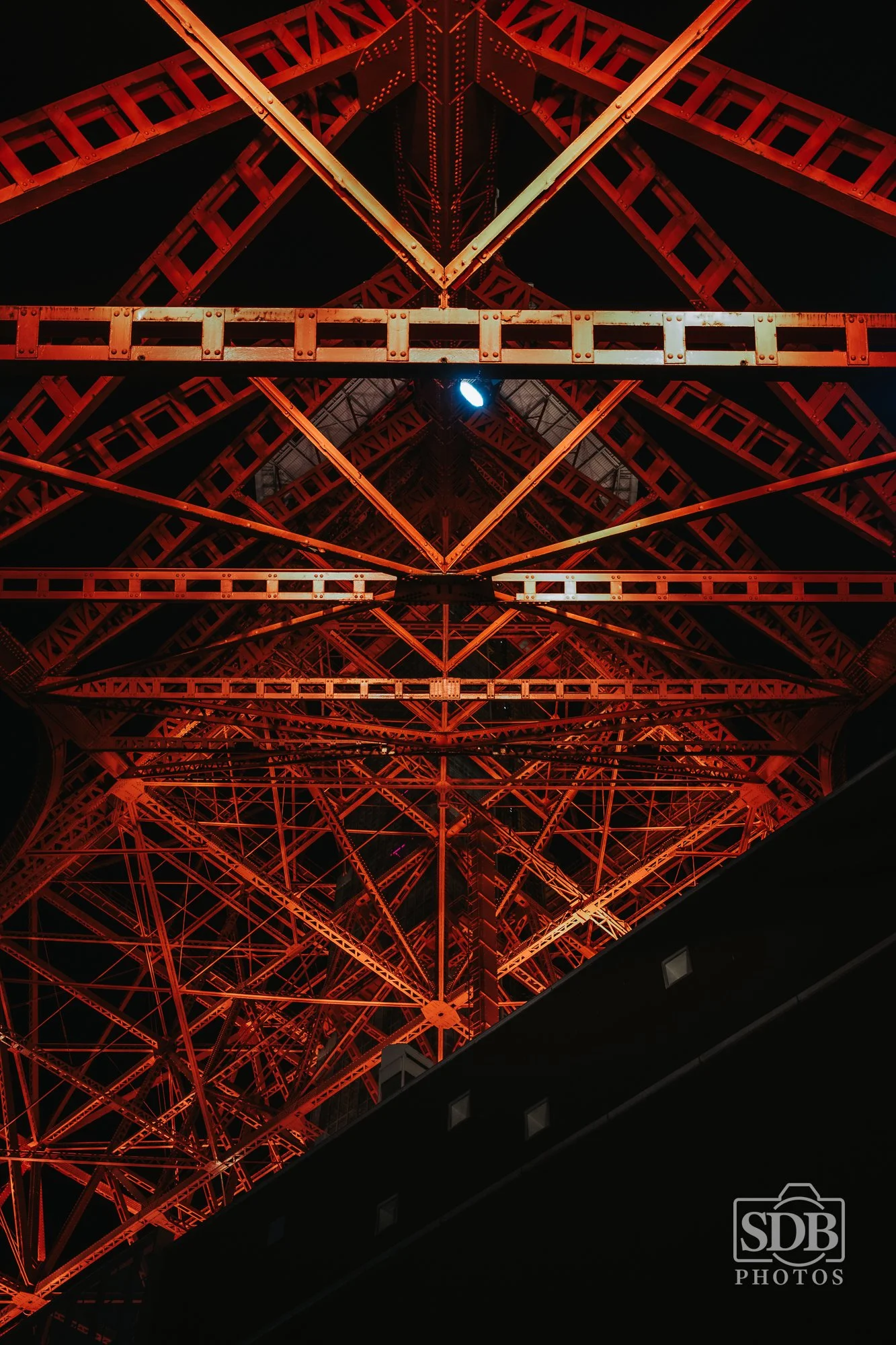 Tokyo Tower-251113-SDBPhotoz-3.jpg