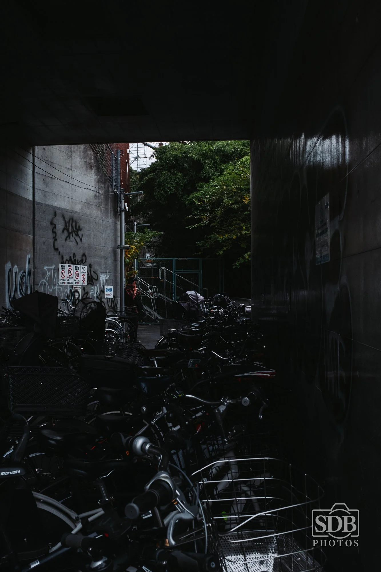 Tokyo-251112-SDBPhotoz-7.jpg