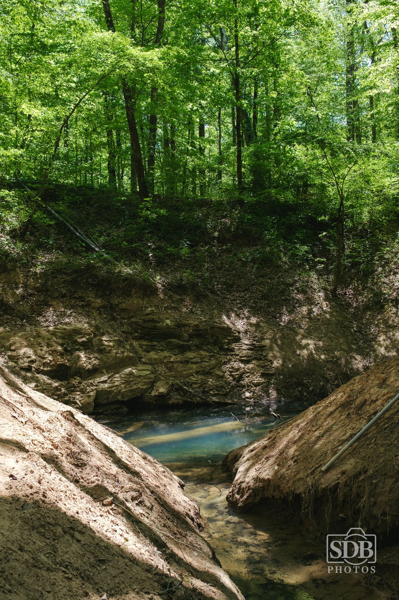 Mammoth Cave National Park-260421-SDBPhotoz-8.jpg