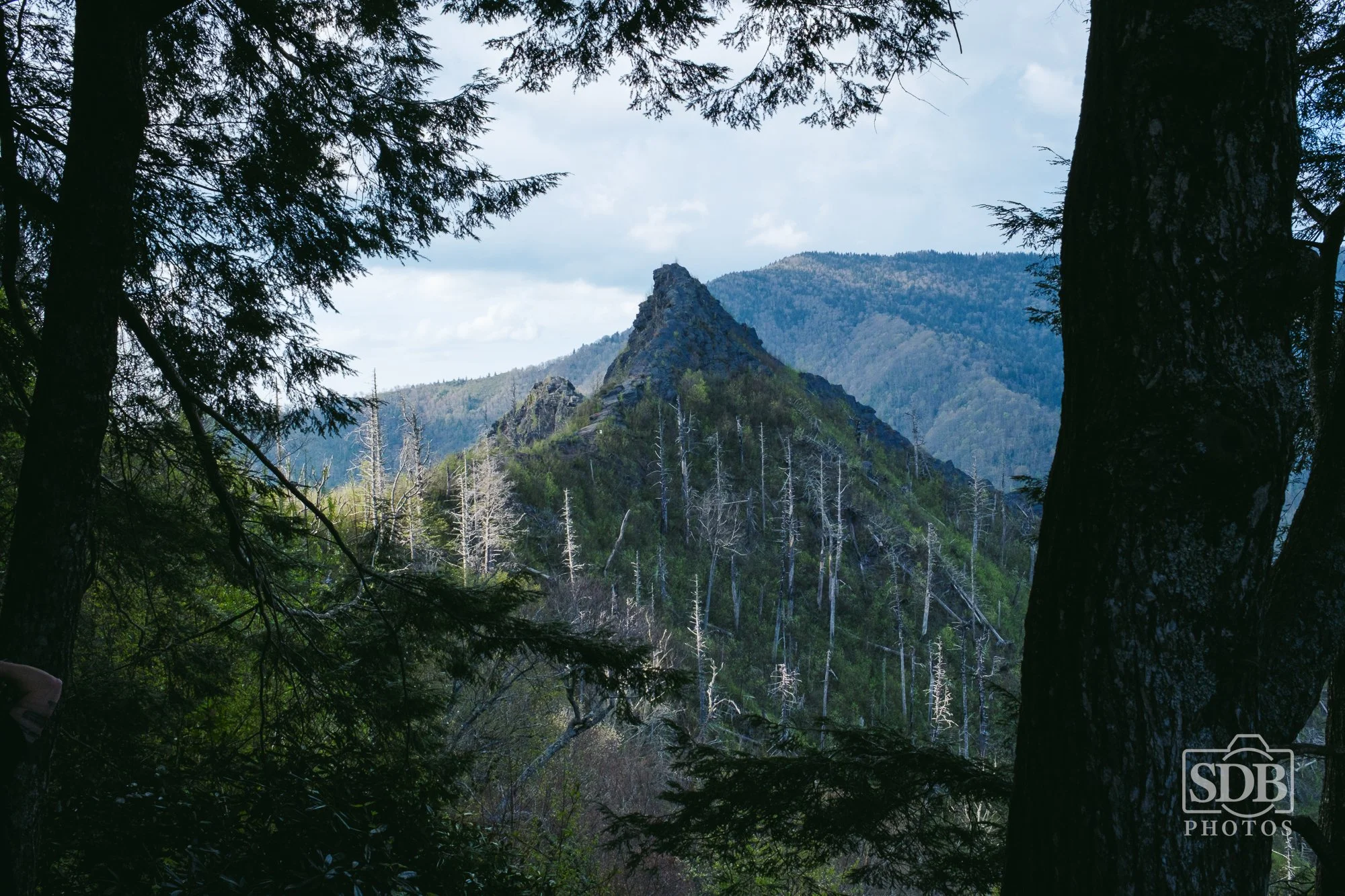 Great Smoky Mountains National Park-260423-SDBPhotoz-16.jpg