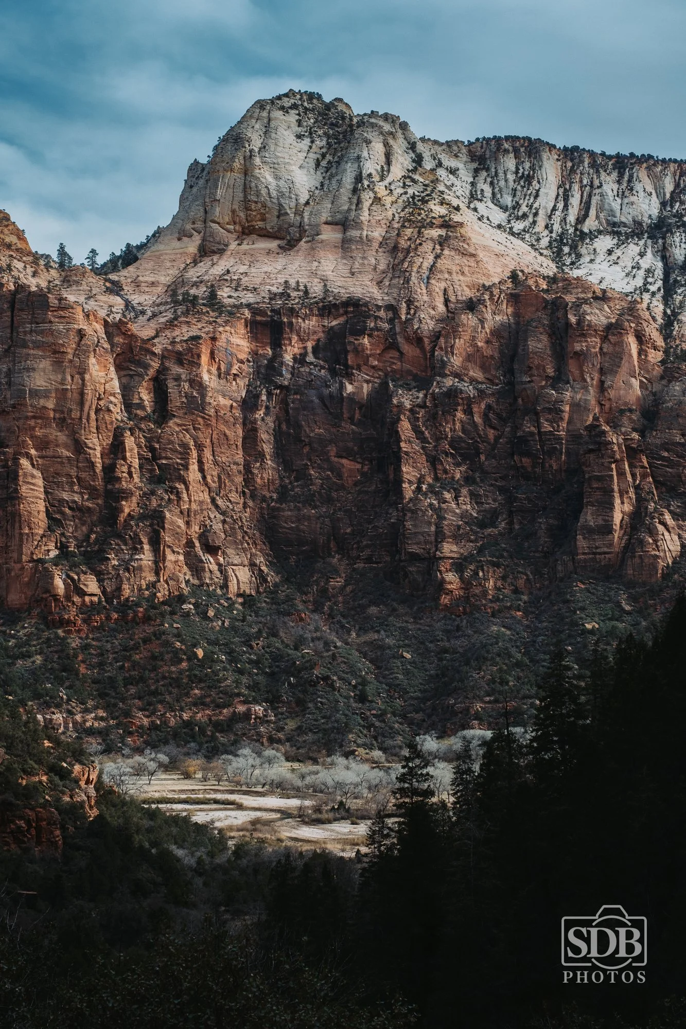 Zion National Park-251221-SDBPhotoz-4.jpg