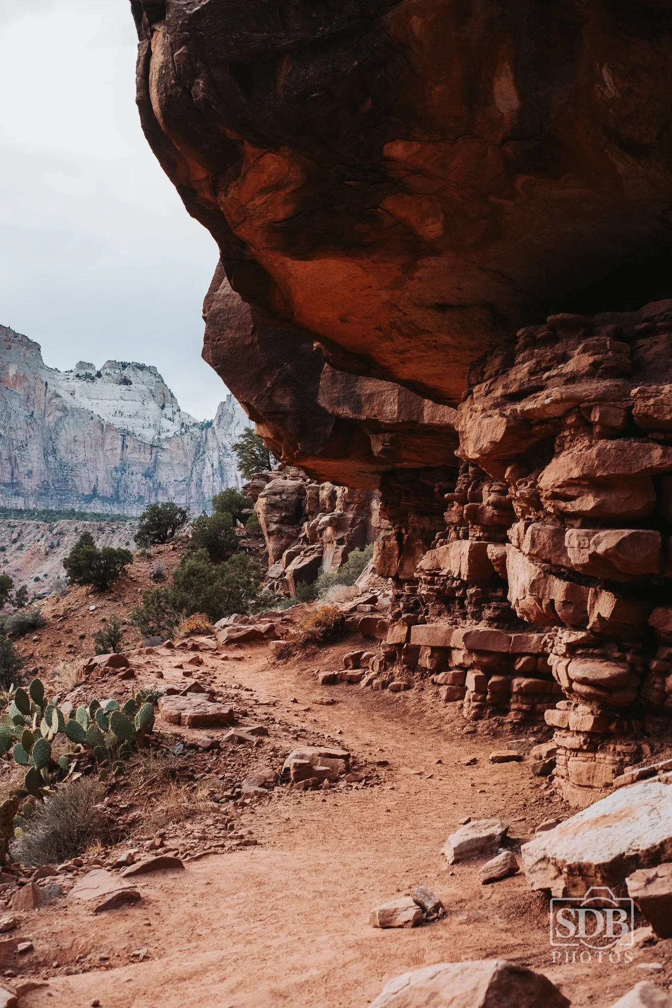 Zion National Park-251221-SDBPhotoz-6.jpg