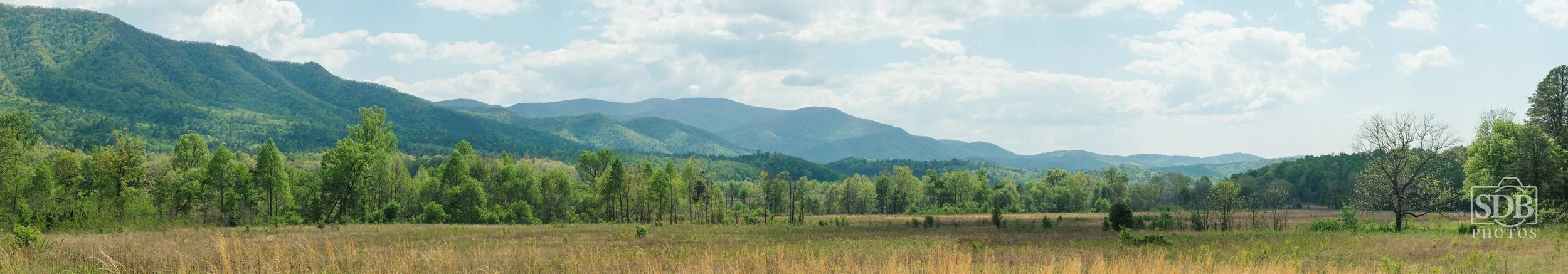 Great Smoky Mountains National Park-260423-SDBPhotoz-1.jpg
