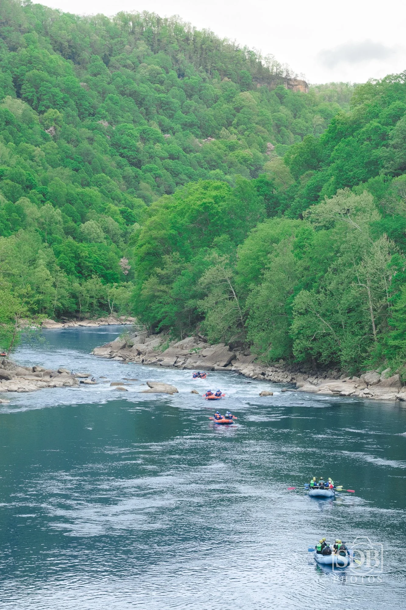 New River Gorge National Park-260425-SDBPhotoz-1.jpg