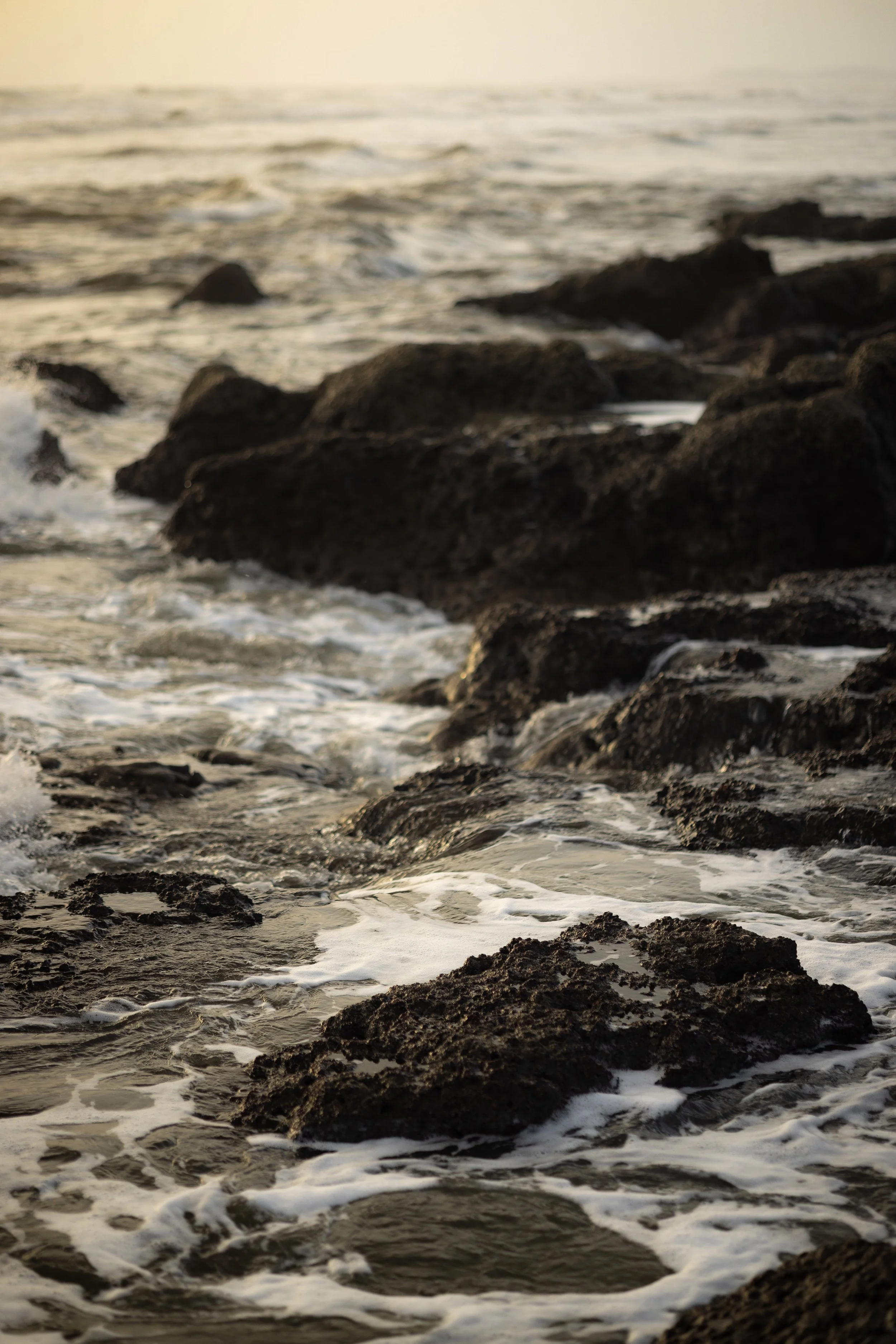 0I4A0131.jpg