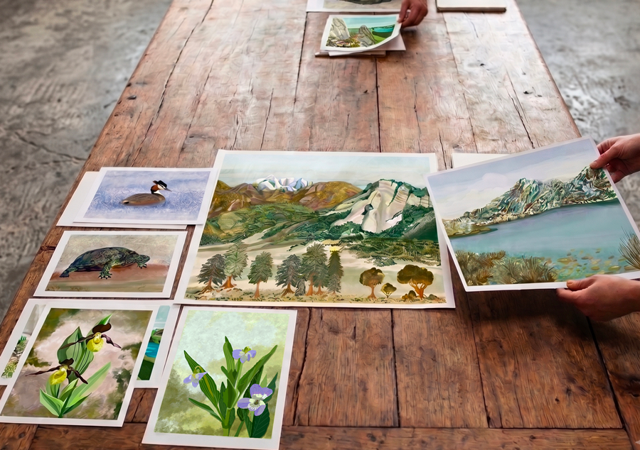 Des participants à un atelier de création et valorisation de la biodiversité à l'initiative de Biosphère Grand Lac en France, manipulent des illustrations imprimées en couleurs de paysages, de la faune et de la flore locale.