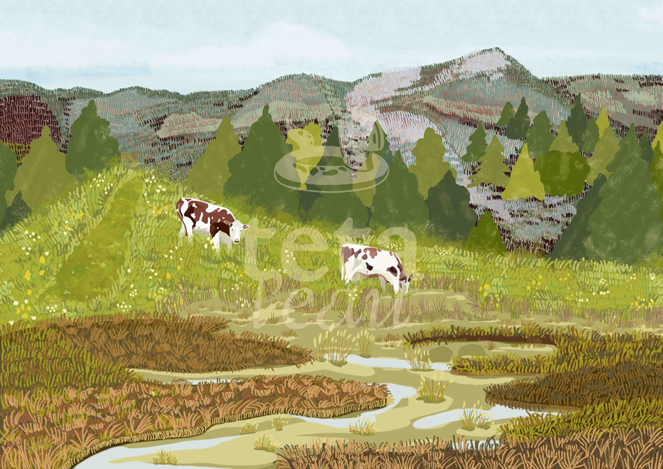 PAYSAGE-2---PRAIRIE.png